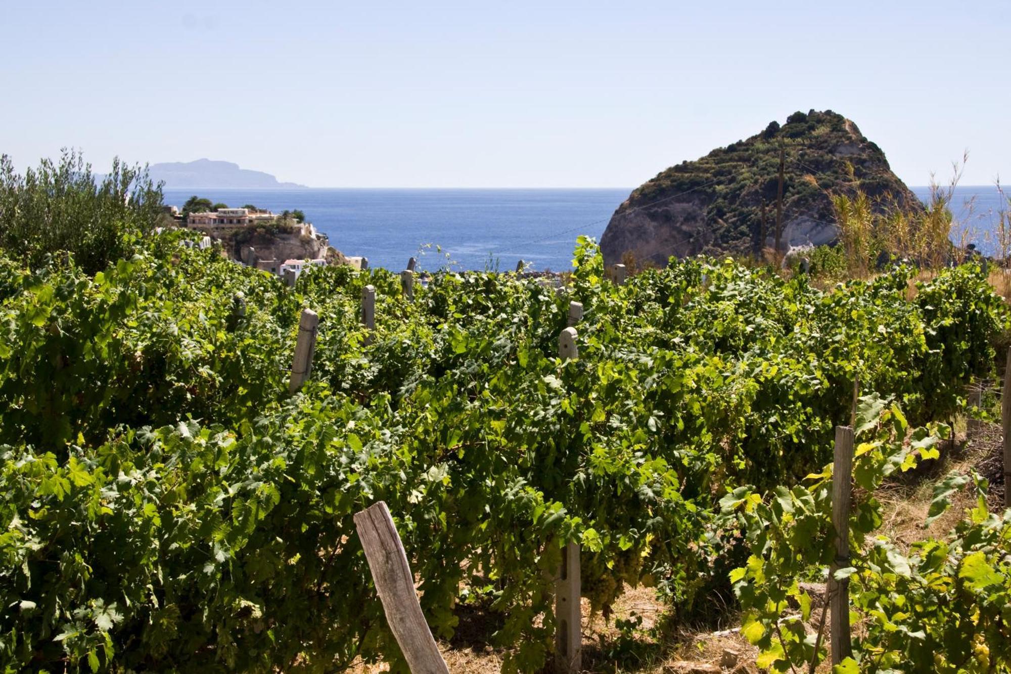 Mario Sant'Angelo (Isola d'Ischia)